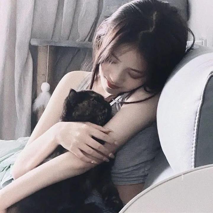 板尾创路的逃狱王